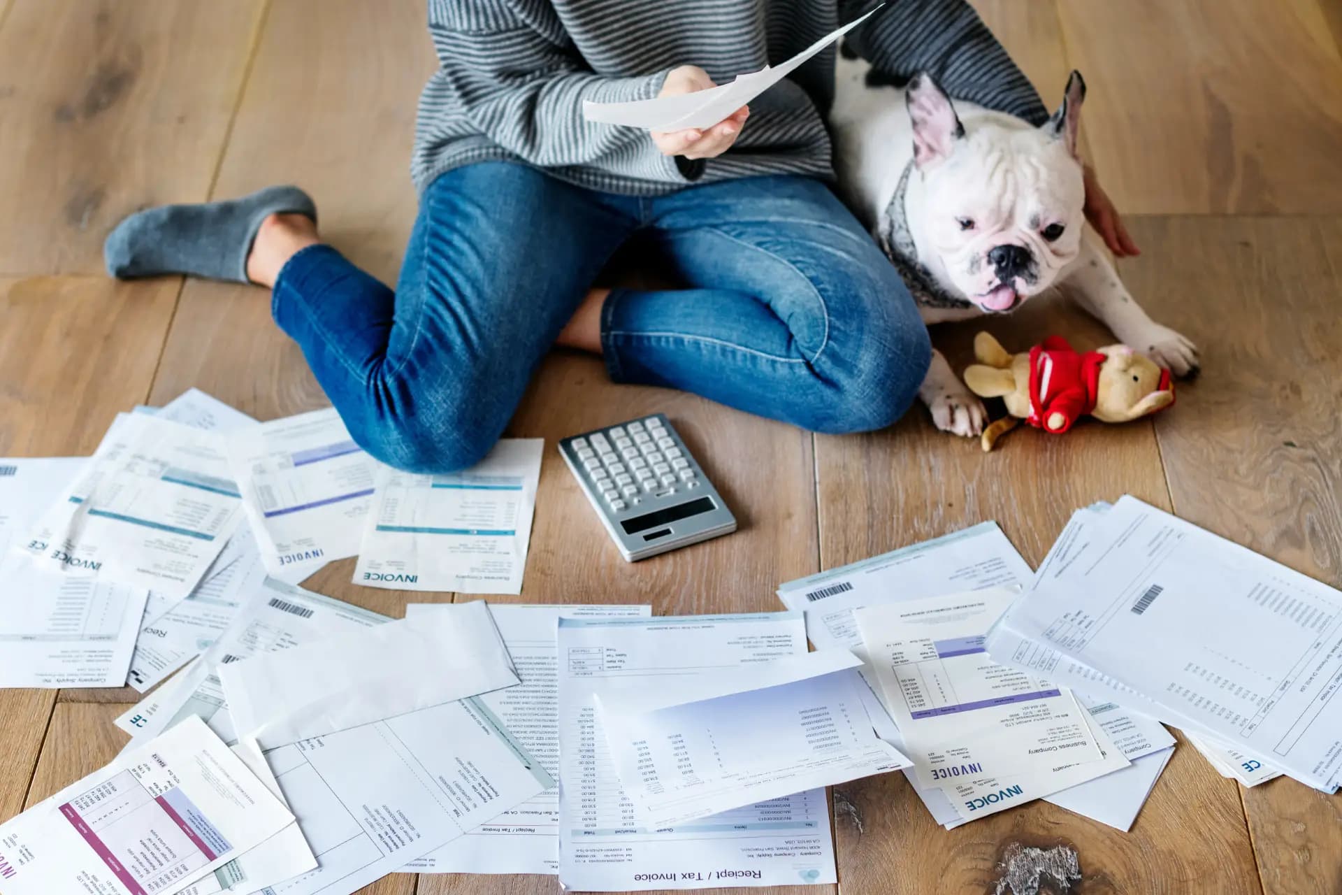 Imagen de salida de registros morosos en Solvify